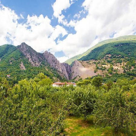 Irenes Resort Káto Loutrákion 외부 사진